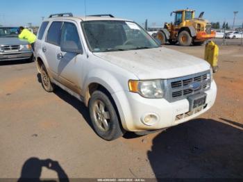  Salvage Ford Escape