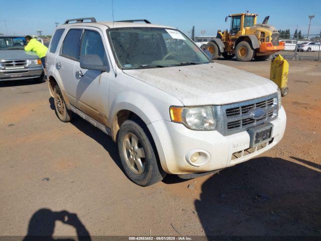  Salvage Ford Escape