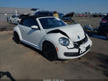  Salvage Volkswagen Beetle