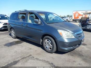  Salvage Honda Odyssey