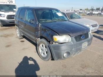  Salvage Ford Escape