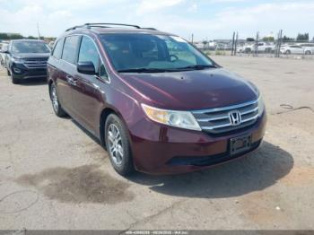 Salvage Honda Odyssey
