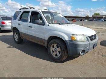  Salvage Ford Escape