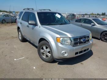  Salvage Ford Escape