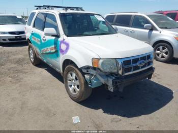  Salvage Ford Escape