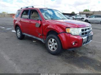  Salvage Ford Escape