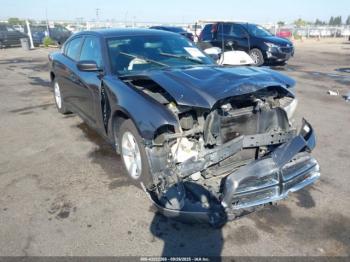  Salvage Dodge Charger