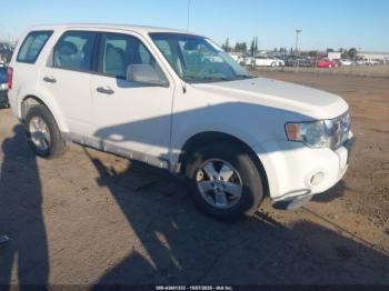  Salvage Ford Escape
