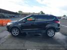 Ford Escape Sel Image 13