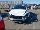 Tesla Model Y Image 6