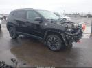 Jeep Compass Trailhawk 4x4 Image 1