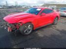 Ford Mustang Ecoboost Image 4