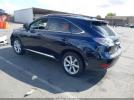 Lexus RX Image 6