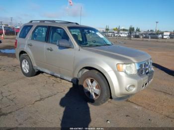  Salvage Ford Escape