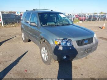  Salvage Ford Escape