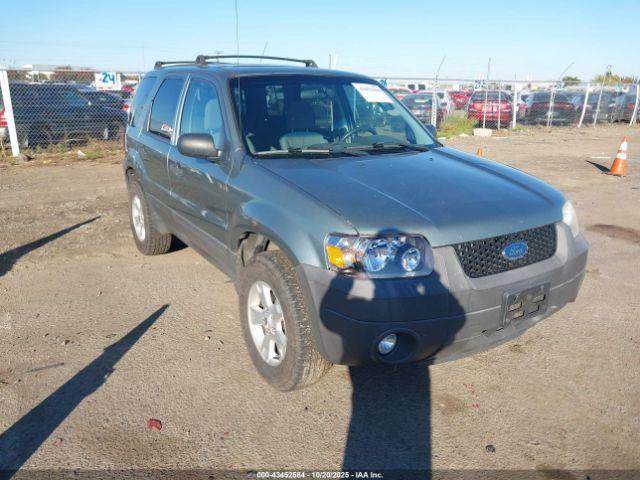  Salvage Ford Escape