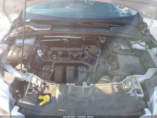 Ford Focus Sel Image 4