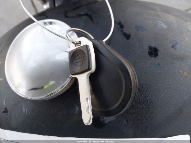 Harley-Davidson Fxbbs Image 9