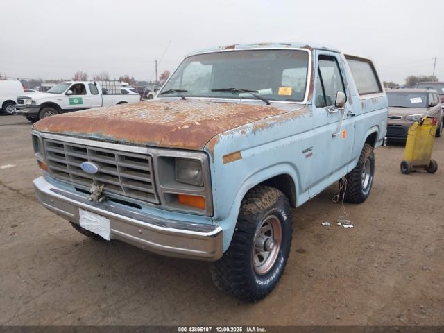 Ford Bronco U100 Image 10