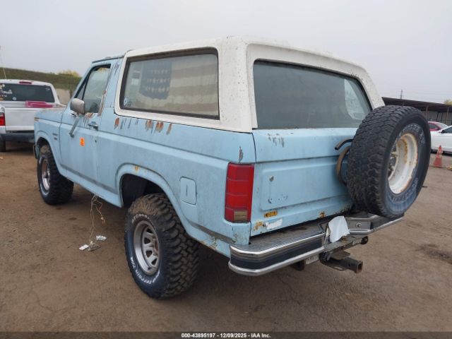 Ford Bronco U100 Image 2