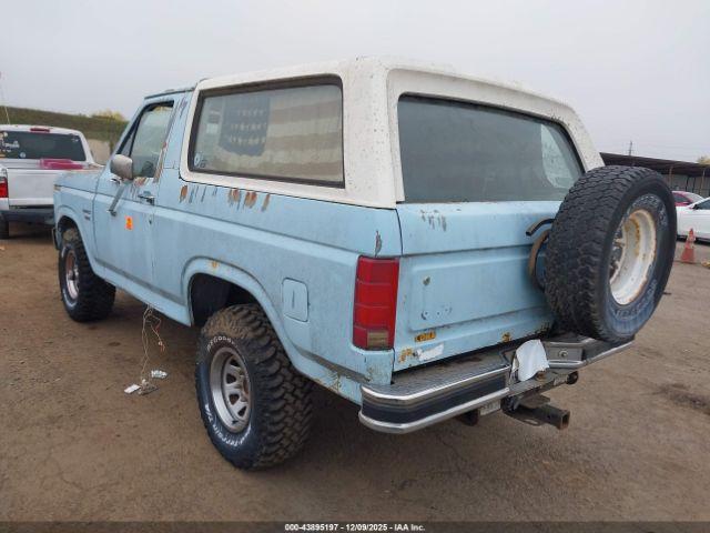 Ford Bronco U100 Image 2