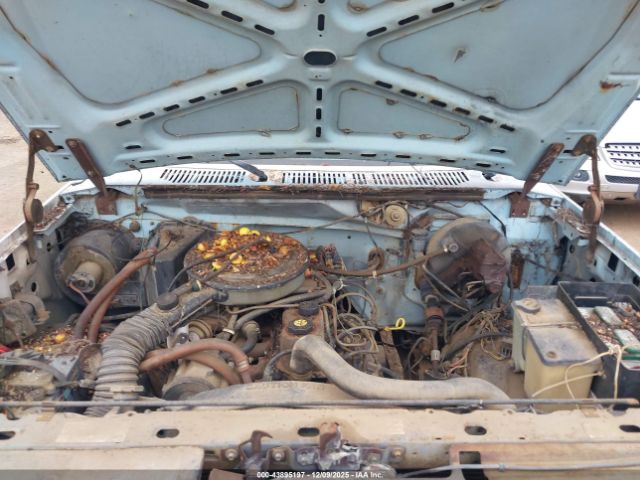 Ford Bronco U100 Image 4