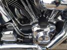 Harley-Davidson Flstf Image 3