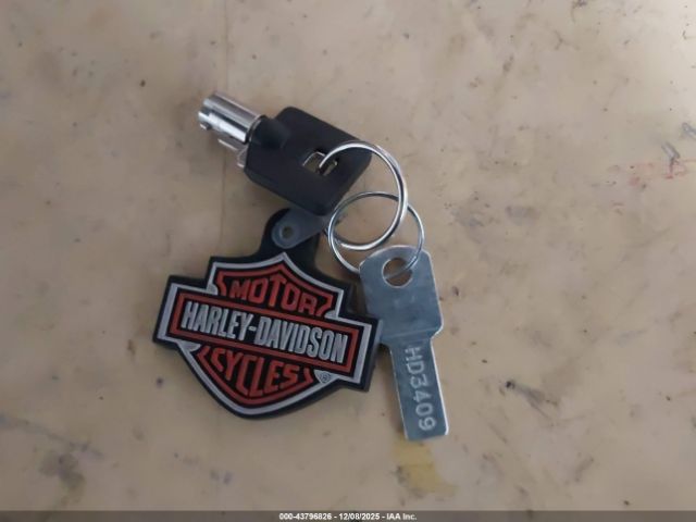 Harley-Davidson Flstf Image 6