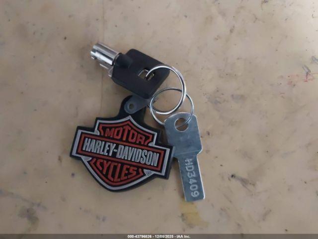 Harley-Davidson Flstf Image 6