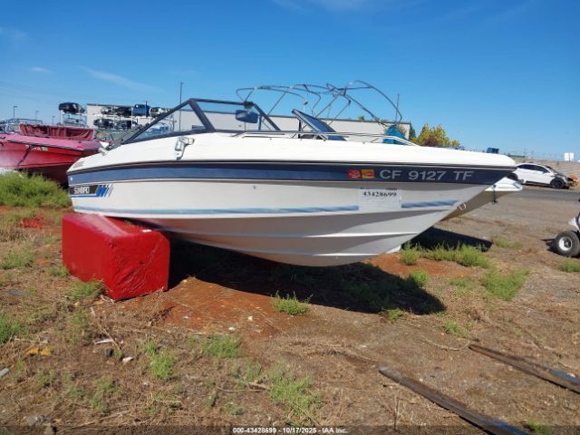 Sunbird Other Image 1