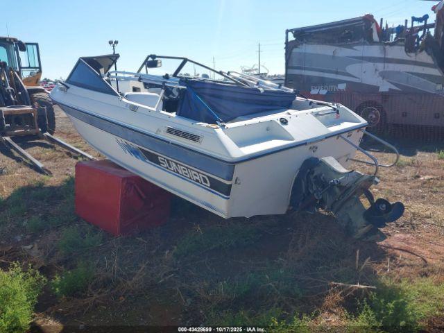 Sunbird Other Image 5