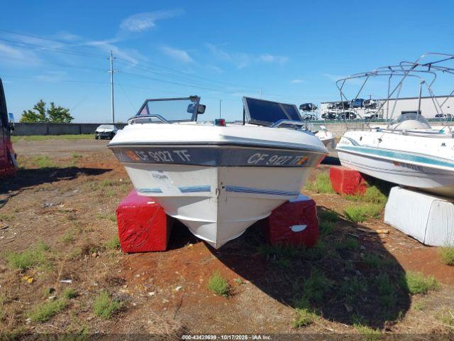 Sunbird Other Image 8