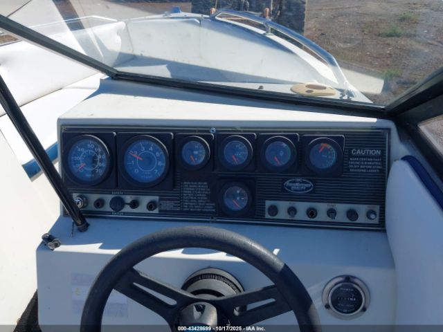 Sunbird Other Image 10