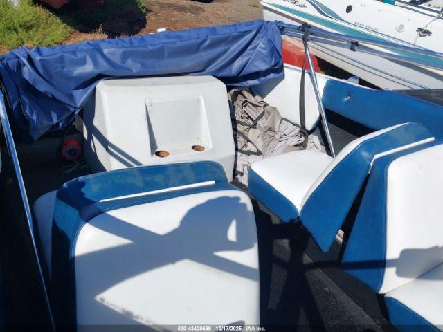 Sunbird Other Image 7