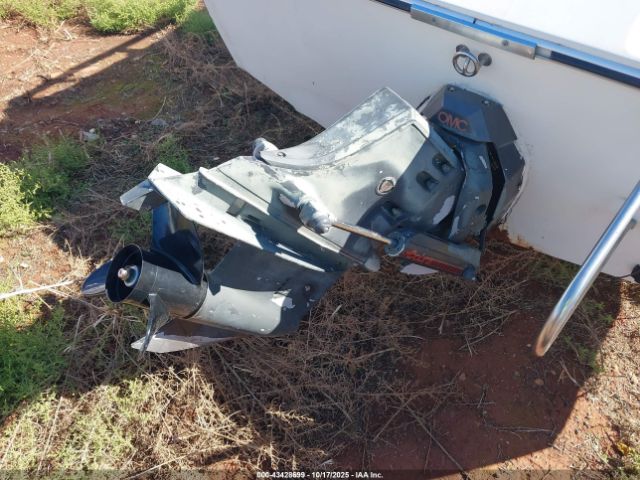 Sunbird Other Image 4