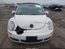 Volkswagen Beetle 2.5l Image 8