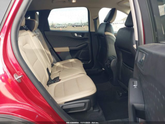 Ford Escape Titanium Image 6