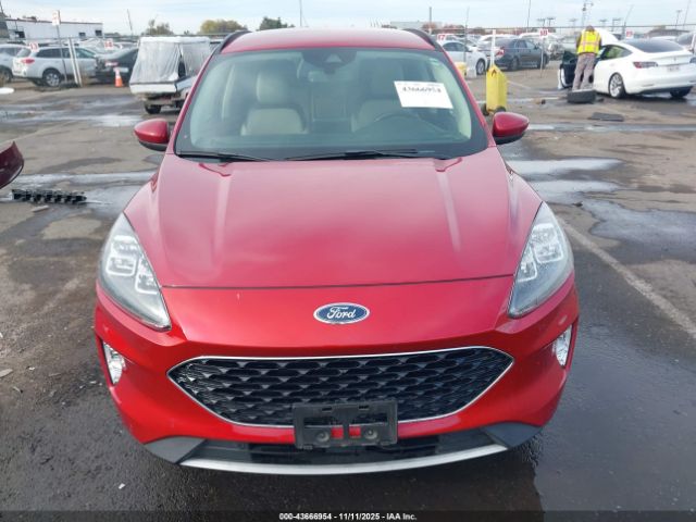 Ford Escape Titanium Image 9