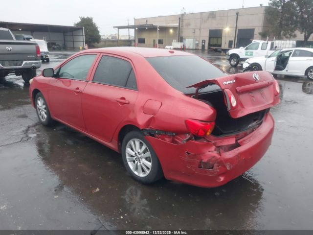 Toyota Corolla Le Image 8