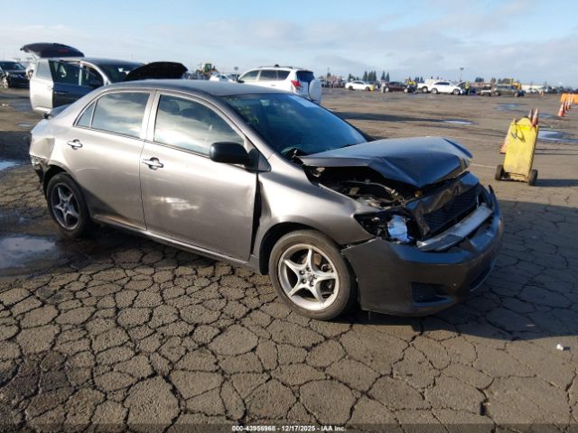 Toyota Corolla Le Image 1