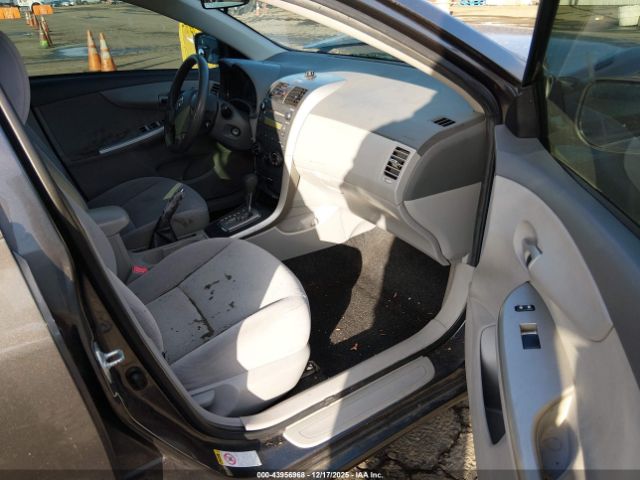 Toyota Corolla Le Image 11