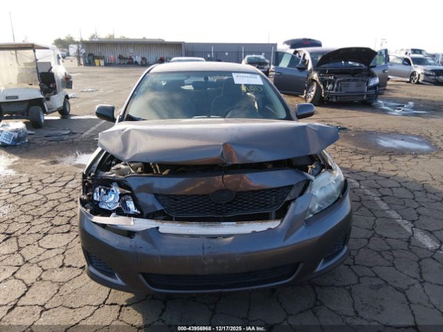 Toyota Corolla Le Image 14